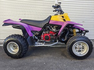 希少　レア　yf350 バンシー yfz350 YAMAHA ヤマハ 四輪バギー YF200S ATV バギー　3GG