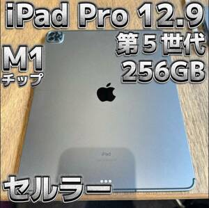 iPad Pro 12.9 第5世代　M1チップ　256GB セルラー　cellular 