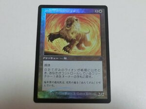 MTG 美品 【白たてがみのライオン（旧枠FOIL）】 （コモン） ドミナリア・リマスター DMR 日 1枚迄