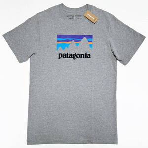 ■PATAGONIA/パタゴニア・プリントTシャツ・グレーM新品■