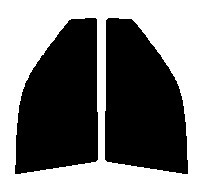 ハーフスモーク　76％ 運転席、助手席　オプティ 5ドア L300・L310　カット済みフィルム