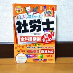 みんなが欲しがった！社労士 全科目横断総まとめ 2024年版 TAC出版 美品