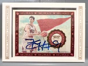 激レア選手 Auto 08 Topps Kirk Hinrich カーク・ハインリック NBA サイン バスケ Bulls ブルズ ユニフォーム Panini All-defensive 米代表