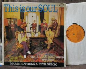 MARIE ROTTROVA&PETR NEMEC/THIS IS OUR SOUL/the flamingo grou