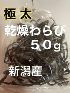 【極太】R6年産・乾燥わらび・干しワラビ 50g