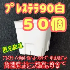 【スリット鉢】プレステラ90白50個 多肉植物 プラ鉢-メルカリ便-