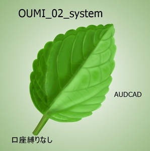 OUMI_02_system　資産運用、お小遣いを稼ぐ投資、 MT4用FX自動売買（放置型）副業　口座縛り、両建て、 ナンピン無し