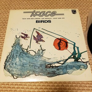 TRACE/BIRDS OF BIRDS トレース/鳥人王国 BT5193 レコード/LP/アナログ