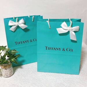 ティファニー「TIFFANY&Co.」ショッパー 2枚組 小物箱サイズ (4038) 正規品 付属品 ショップ袋 ブランド紙袋 20×25×10cm 折らずに配送 