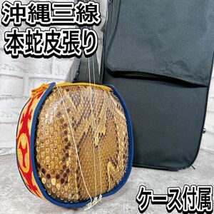 沖縄三線　本蛇皮　琉球　和楽器　民族楽器　弦楽器　三味線　蛇皮　本皮　ハードケース