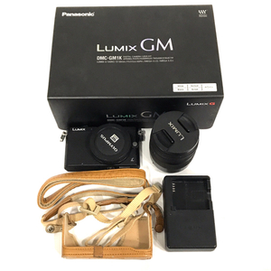 1円 Panasonic LUMIX DMC-GM1 1:3.5-5.6/14-45 ミラーレス一眼 デジタルカメラ L262255