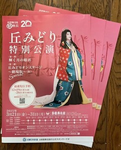 ★新歌舞伎座 初座長 デビュー20周年記念 2025年3月21日～ 丘みどり特別公演 チラシ★