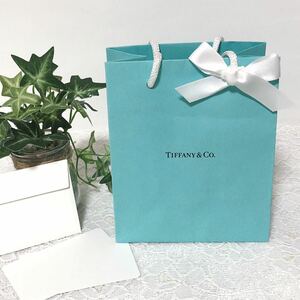 ティファニー「TIFFANY&Co.」ミニショッパー アクセサリー箱サイズ 現行 (3955) 正規品 付属品 ショップ袋 ブランド紙袋 折らずに配送 