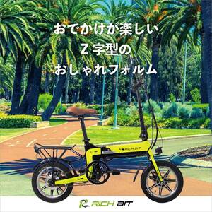 電動バイク RICHBIT TOP619 カラー：グリーン 半額セール　新品・買い得