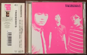 TREEBERRYS榊原貴之BLOCKBUSTERS稲垣達也ROCKBOTTOM渡来宏明A Little TimeトゥリーベリーズSilly GirlツリーベリーズCD榊原貴之Silly Girl