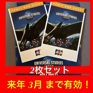 USJ 入場券 入園券 ペアチケット ワンデイスタジオパス ユニバーサルスタジオジャパン ユニバ チケット パスポート チケット スタジオパス 