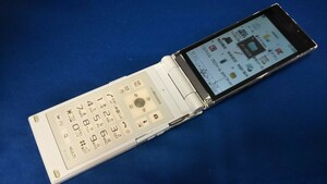 DG4577 docomo FOMA F-01C FUJITSU 富士通 ガラケー 折り畳み式 簡易動作確認＆簡易清掃＆初期化OK 判定○ 現状品 送料無料　