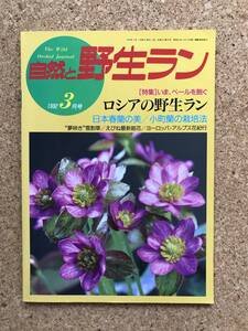 自然と野生ラン 1992年3月号　春蘭 雪割草 ウチョウラン セッコク 小町蘭 ※ 園芸JAPAN