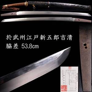 【欟】 時代 於武州江戸新五郎吉清 脇差 53.8cm 刀剣武具骨董 [S314]OSS/24.9/MY/(120)