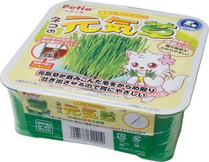 （まとめ買い）ペティオ 猫の元気草 猫用 〔×14〕