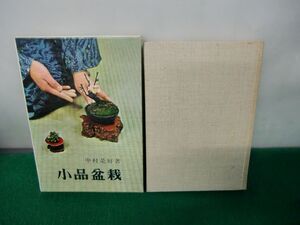 小品盆栽 中村是好箸 鶴書房 昭和45年第5刷発行