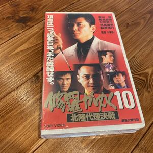 VHS ビデオテープ 修羅がゆく10 北陸代理決戦 哀川翔 鶴見辰吾 大和武士 名高達郎 萩原流行