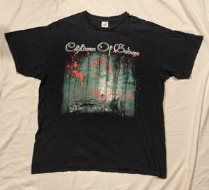 チルドレン・オブ・ボドム Children of Bodom バンドTシャツ デスメタル フルーツオブザルーム 黒系 XLサイズ ヴィンテージTシャツ