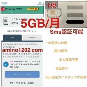 SOFTBANK プリペイドSIMカード 毎月5GB SMS受信可 データSIM SMS認証 006