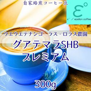 グアテマラSHBプレミアム 300g ウエウエテナンゴ　qグレード