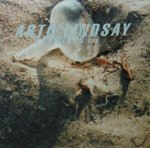 $ ARTO LINDSAY / ECOMIXES TWO (RR12-88163) YYY118-1827-12-16 　12インチ　レコード盤