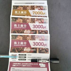 13000円分★②エーピーホールディングス株主優待★2025.6.30まで