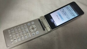 D4928 docomo SIMフリー AQUOSケータイ SH-02L SHARP 4Gガラホ 簡易確認＆簡易清掃＆初期化OK 判定○ WebにてSIMロック解除手続受付済み