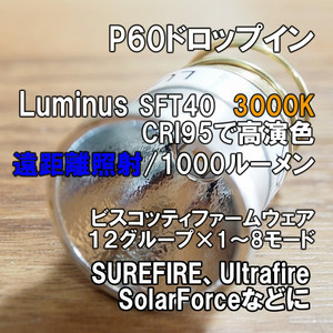 【遠距離照射】暖色 P60ドロップイン LUMINUS SFT40 3000K SUREFIRE 手作り フラッシュライト LED シュアファイヤー ULTRAFIRE SOLARFORCE