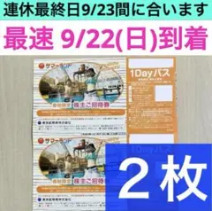 【サマーランド】1Dayパス 2名分　株主ご招待券 2枚　フリーパス　匿名配送c