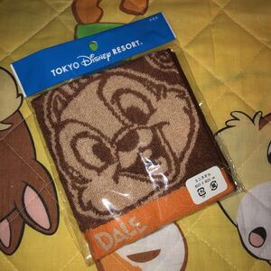 TDR「チップ＆デールお顔いっぱいシリーズ」ミニタオル