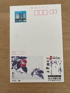 額面40円はがき　エコーはがき　未使用はがき　広告はがき　松山市観光課　椿　