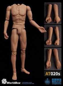 WORLD BOX 1/6 male body 前腕ハンド付 男性素体 AT020s アクションフィギュア用 ボディ 1/6 スケール 