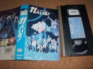 【カビあり】[VHS][送料無料] 11人いる! 　//B