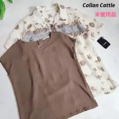 Callan Cattle シースルー半袖ブラウス&フレンチスリーブ 83797