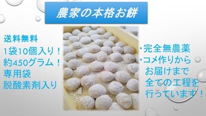 無農薬農園★20個★約900グラム★絹ごし餅★ヤマフクモチ★もち★丸餅★令和6年新米★白餅★