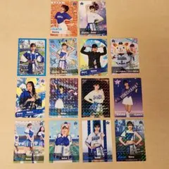 横浜DeNAベイスターズ　カードリアル化diana Reina　フルコンプ14枚