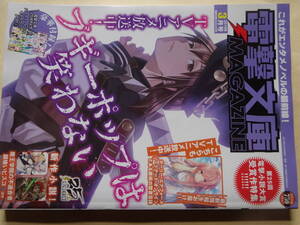 電撃文庫ＭＡＧＡＺＩＮＥ２０１９年３月号　特別付録なし