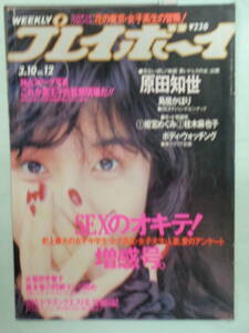 C●切り抜き・週刊プレイボーイ 1987/3　・石田ゆり子／鳥居かほり／原田知世／姫宮めぐみ／黒木永子／桂木麻也子・他