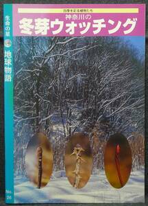 【超希少、初版、美品】古本　神奈川の　冬芽ウォッチング　四季を彩る植物たち　生命の星地球物語　NO.26　勝山輝男　オールプランナー