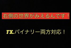 FX、BO両方対応！右側の世界がみえる！