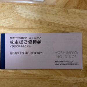 送料無料/防水対策吉野家　株主優待券　5000円分(500円×10枚)(2025/11/30期限)