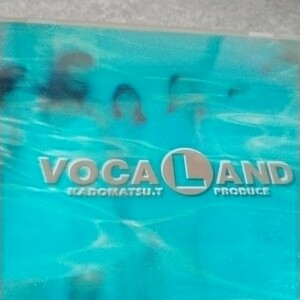 角松敏生プロデュース　VOCA LAND CD