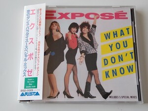 エクスポゼ 恋のダンス・パラダイス〜スペシャル・ミックス EXPOSE / What You Don