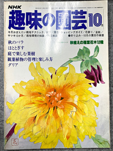 NHK 趣味の園芸 昭和53年 10月 秋のバラ ガーデニング 盆栽 花壇 菜園