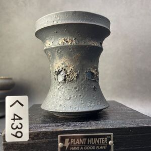 く439 HAND Made 植木鉢 陶器検（アガベ パキプス invisible ink raw life factory SRL 楽カタチ製作所 グラキリス 塊根植物 信楽焼 亀甲竜